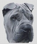 (image for) Blue Shar Pei